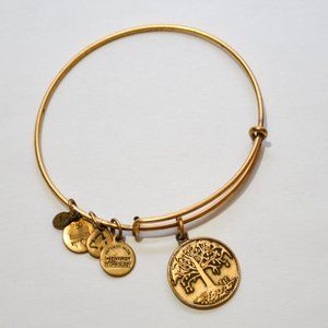 Alex and Ani Tree of Life Bracelet